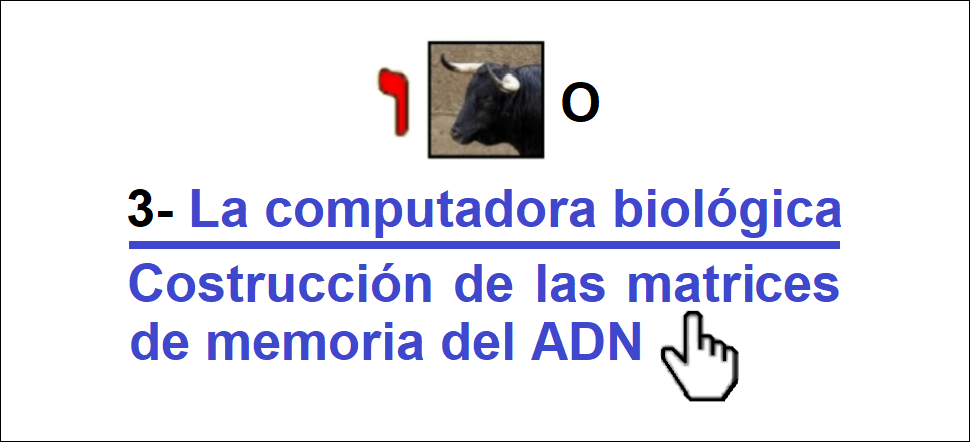 Imperio mundial de la profecia